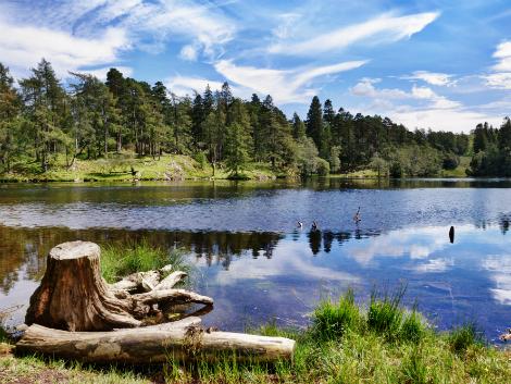 ウィンダミア：自然豊かな風景