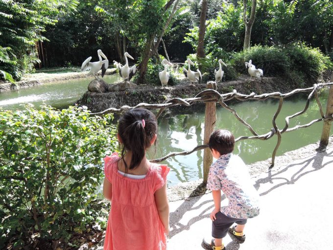 シンガポール 動物園にて