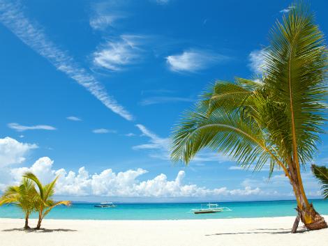 セブ：ビーチとヤシの木