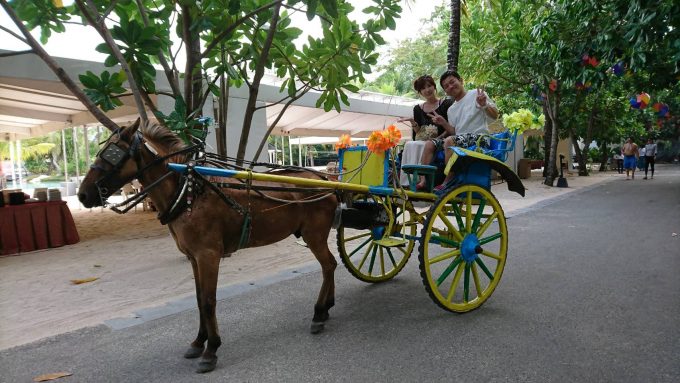 ホテル内を馬車で移動します