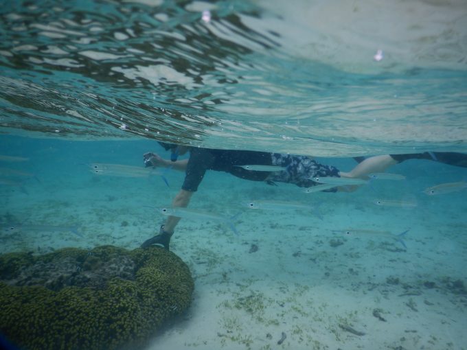 ホテル目の前の海