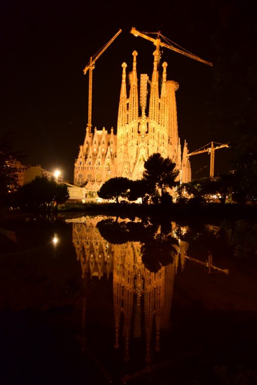 サグラダファミリアの夜景。駅からホテルに帰る前、毎日見れました