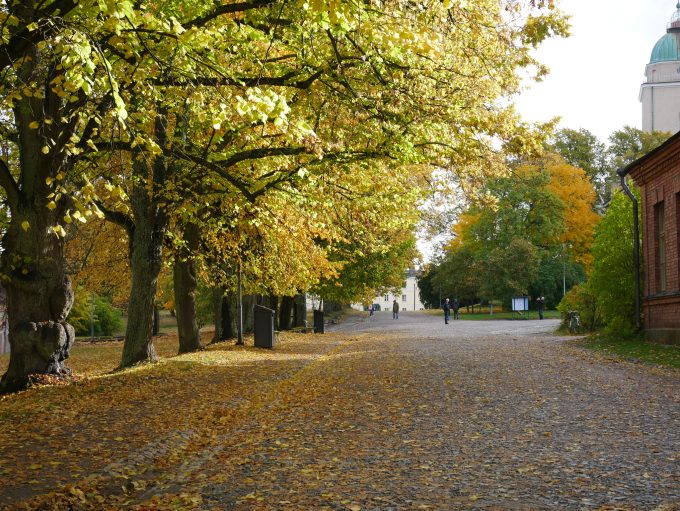 ヘルシンキの街 黄金に染まる美しい木々