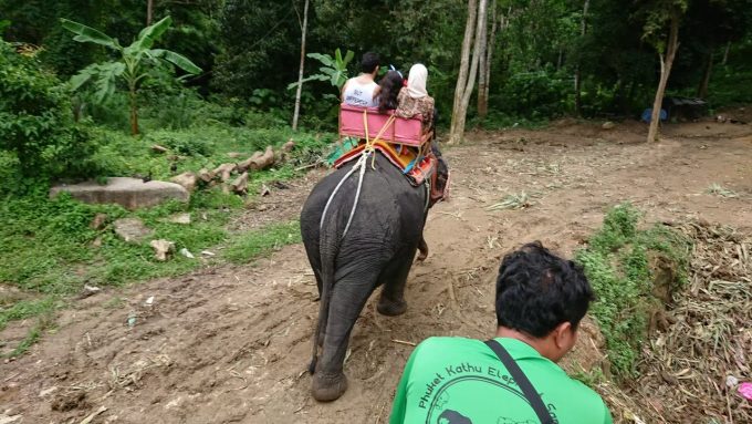 タイ到着後、早速 象乗り体験！