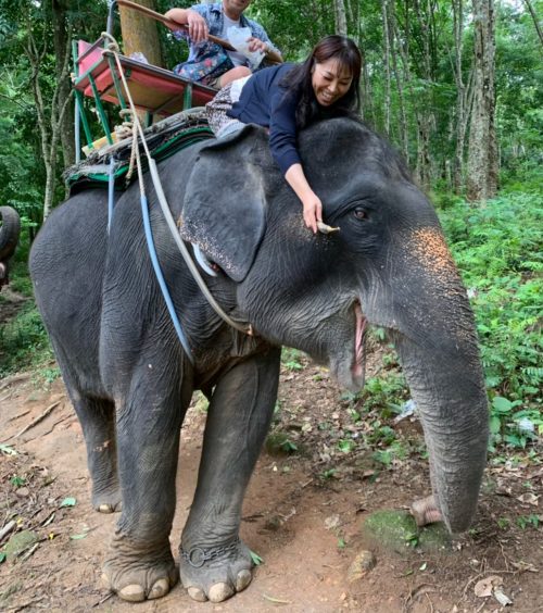 象の頭に乗ったのは初めてです！楽しかったです♪