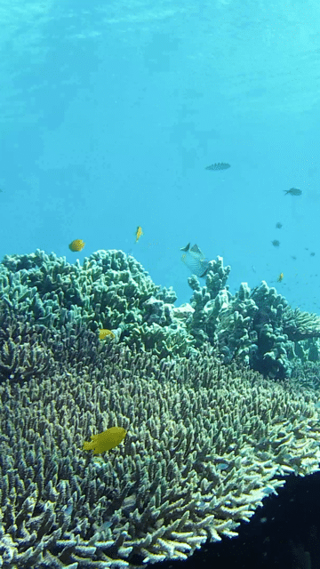 魚も沢山みれました！