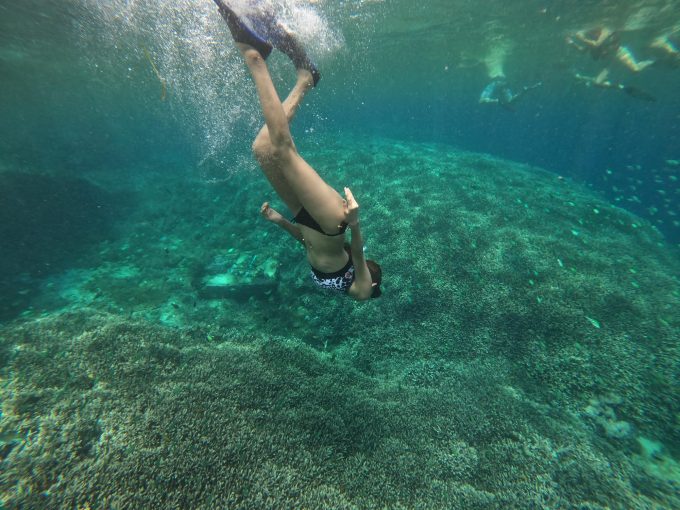 美しい海をシュノーケリング