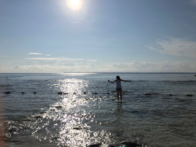 ホテルのプライベートビーチ。魚もいました