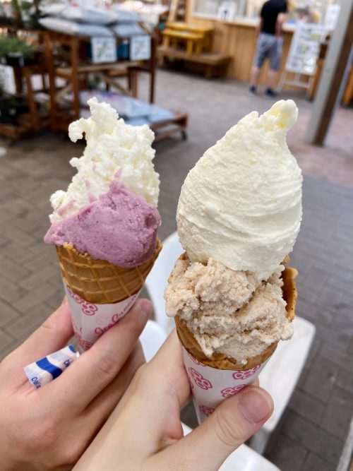 道の駅名物⁉変わり種ジェラート