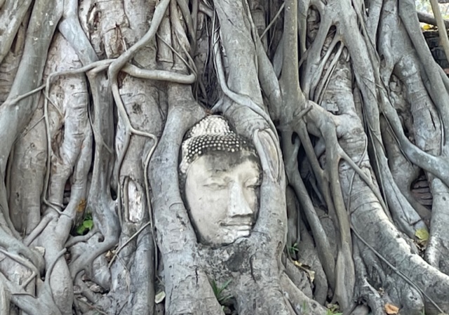 木の根に覆われた仏頭「ワット・マハタート」