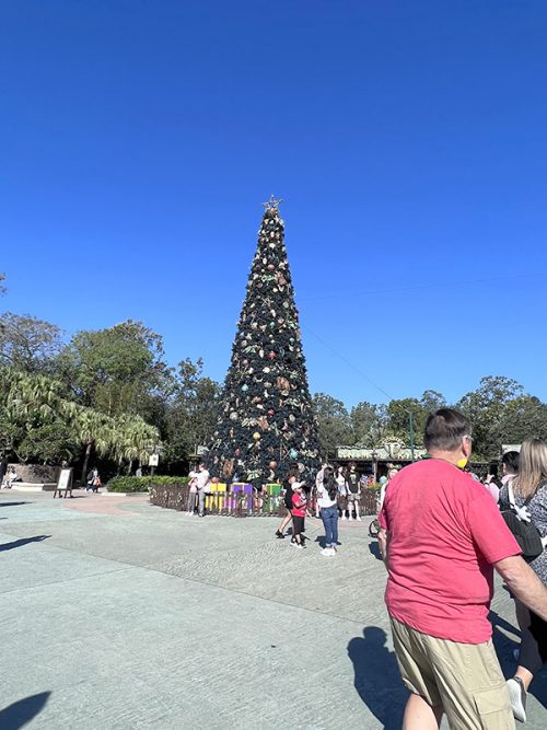 「ディズニー・アニマルキングダム」のクリスマスツリー