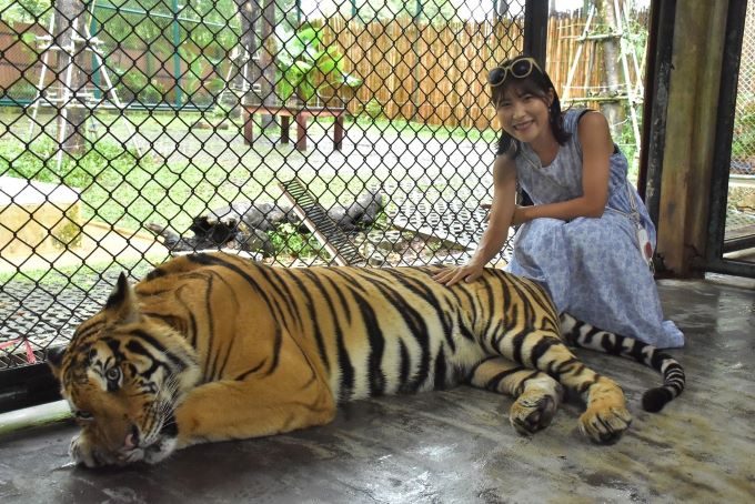 タイガーキングダムにて