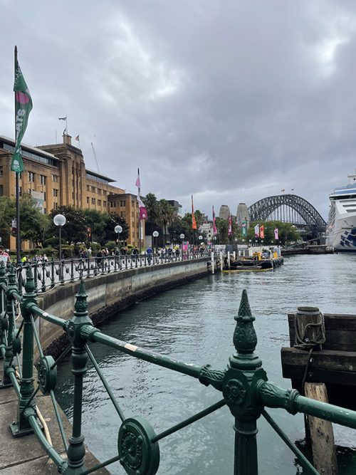 奥にハーバーブリッジが見えます