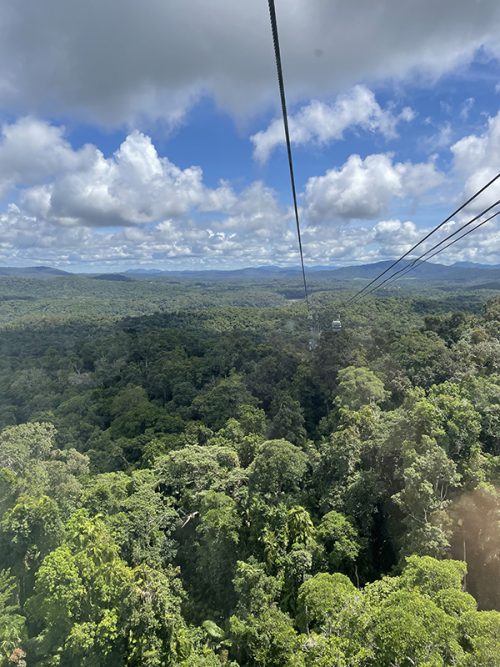 スカイレールからの景色