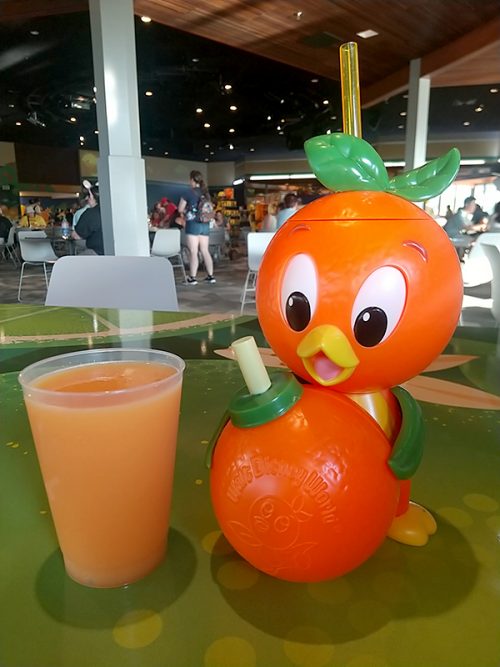 オレンジバードのドリンクホルダー