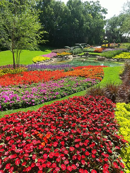 お花であふれていました