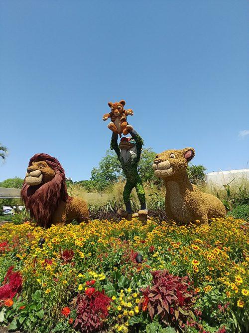 大好きなライオン・キングも！