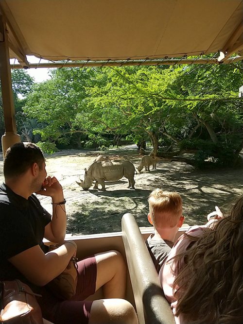 ジープでサファリへ！