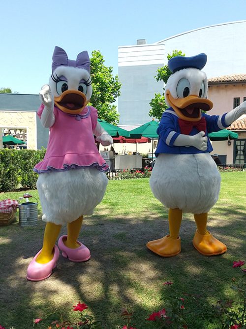 デイジーとドナルド