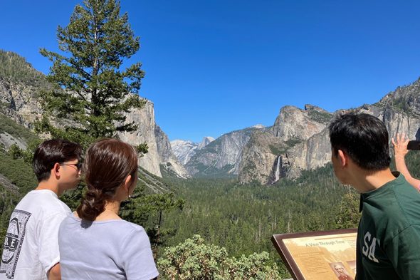 トンネルビューからの風景