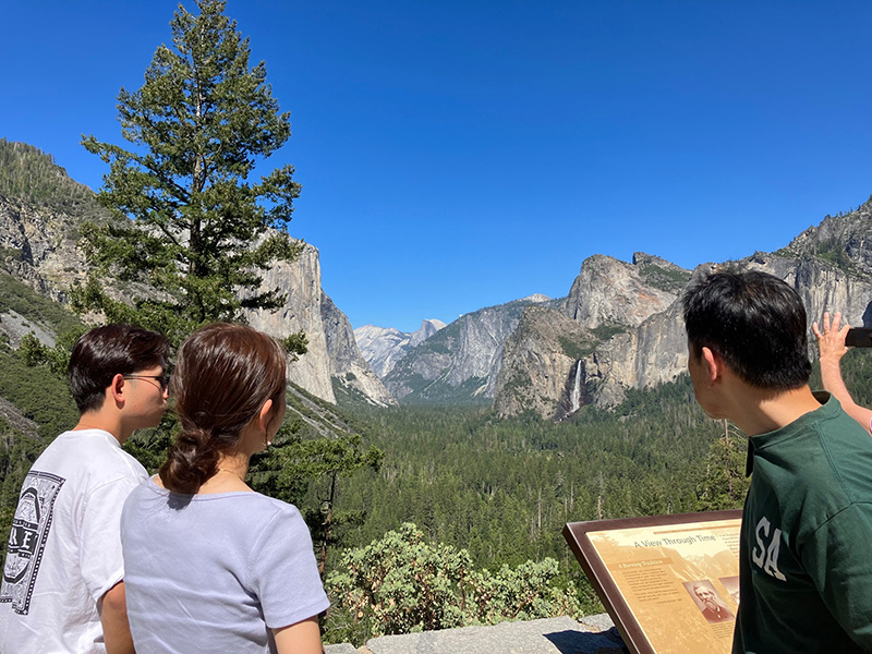 トンネルビューからの風景