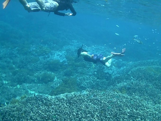 シュノーケリング