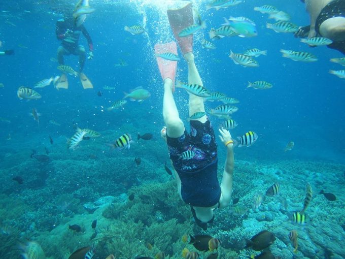 魚がいっぱい！