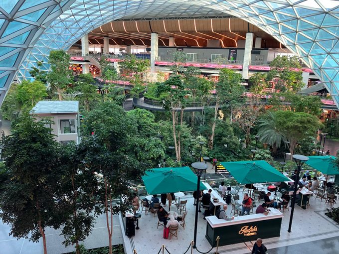 今年オープンしたばかりのガーデンラウンジ