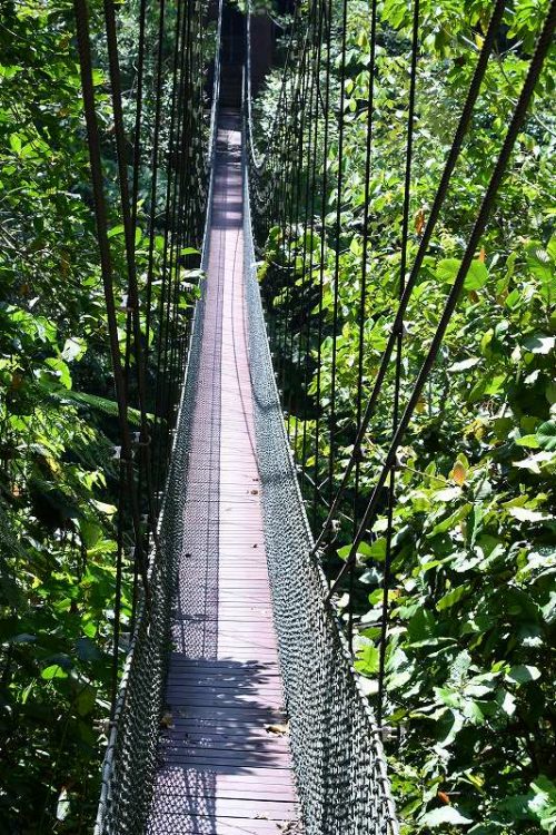 途中にある吊り橋