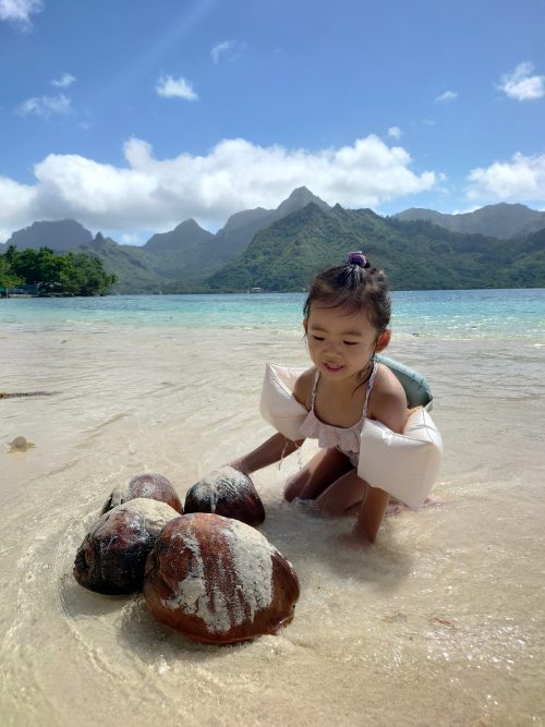 ビーチにはココナッツがごろごろ！