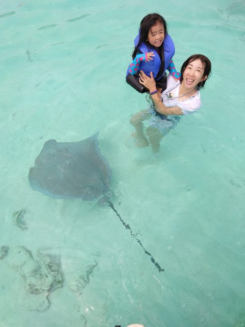 エイもたくさんいました！