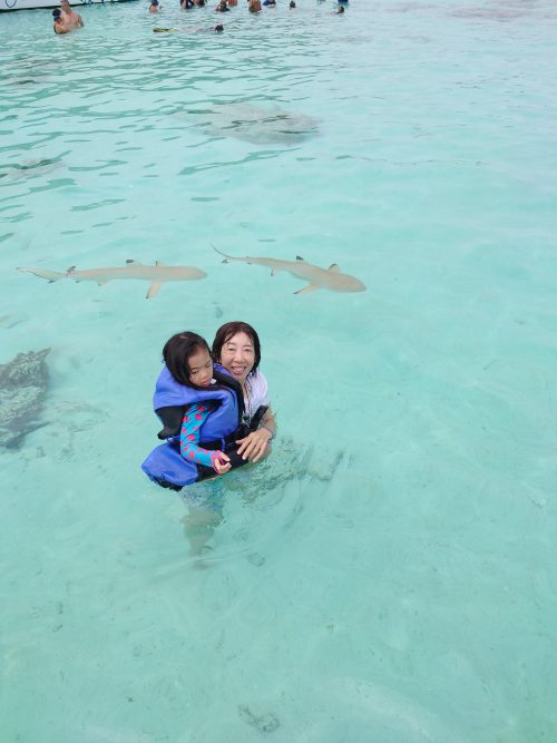 ラグーンツアーに参加！サメがウヨウヨ