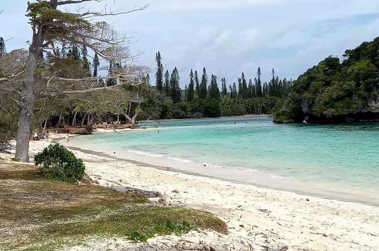 イルデパン島の美しいビーチ
