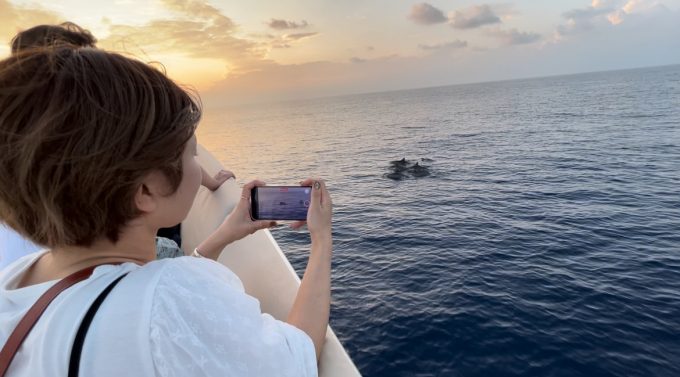 サンセットドルフィンクルーズは初めての体験ですごく感動しました。