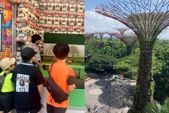 USS（左）ガーデンズ・バイ・ザ・ベイ（右）