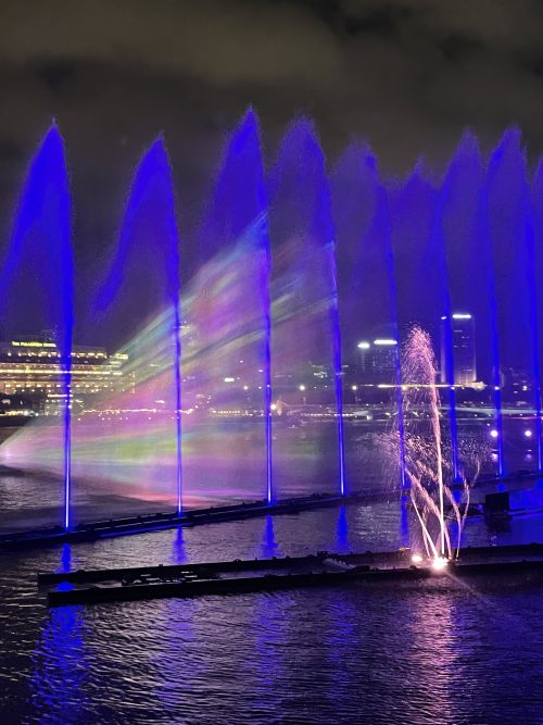 幻想的なショーでした