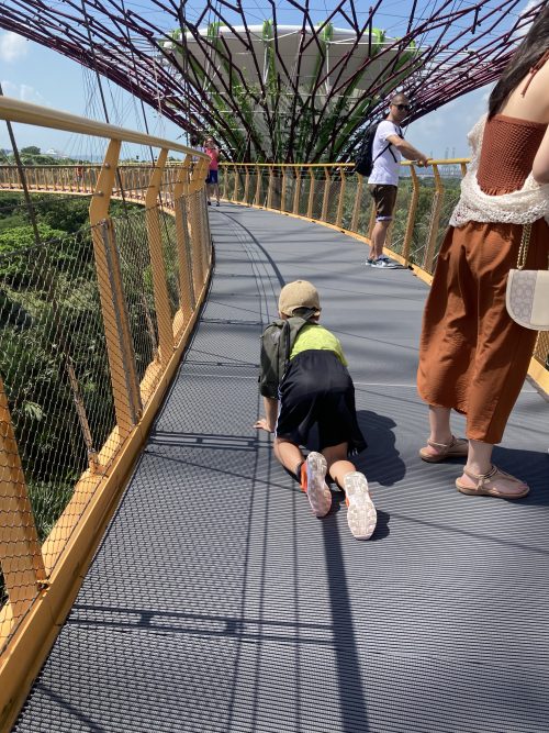 約22mの高さとあってかなりスリリングでした!