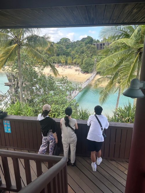 吊り橋を渡った先からの眺め