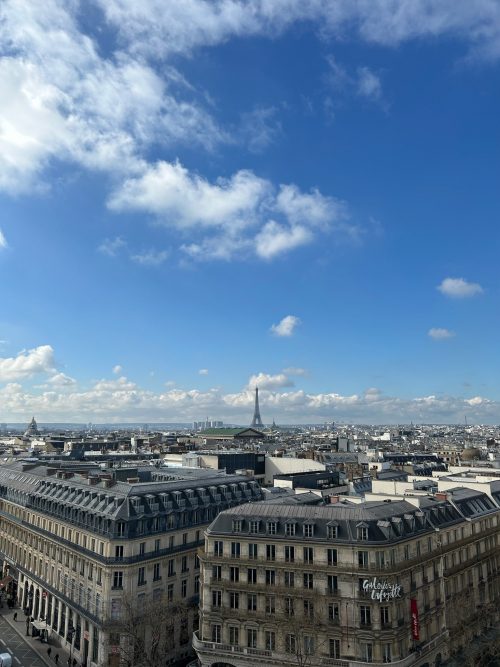 パリ ギャラリーラファイエット屋上より