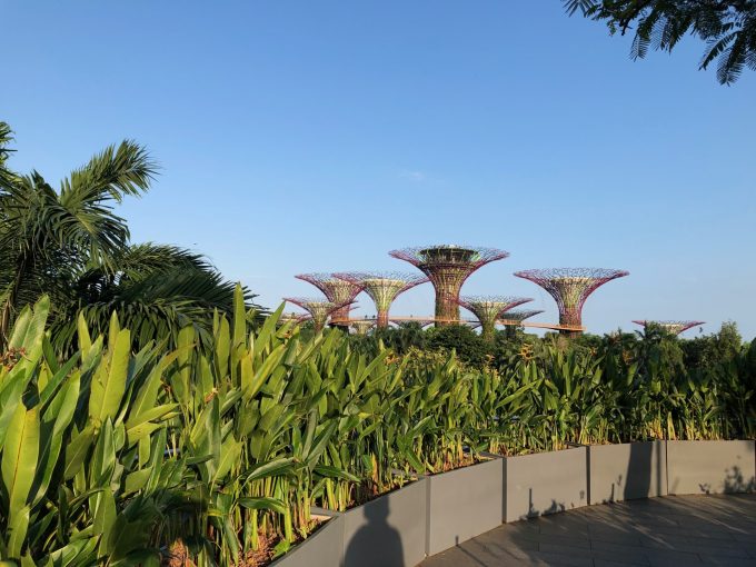 ガーデンズバイザベイエリアへ