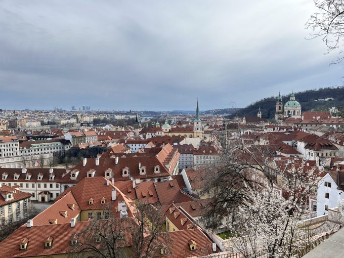 桜？も咲き始め、春の訪れを感じました