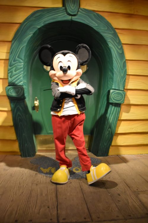 トゥーンタウンにてミッキーとグリーティング