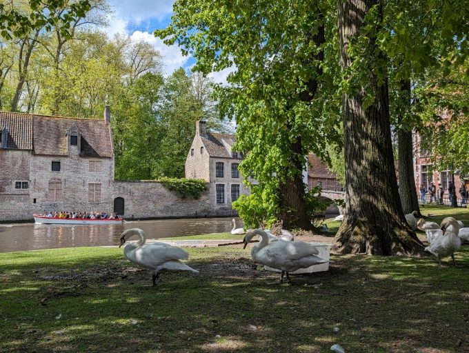 美しいブルージュの街並み