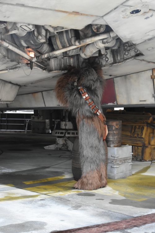 ミレニアム・ファルコンを修理しているチューバッカにも遭遇！