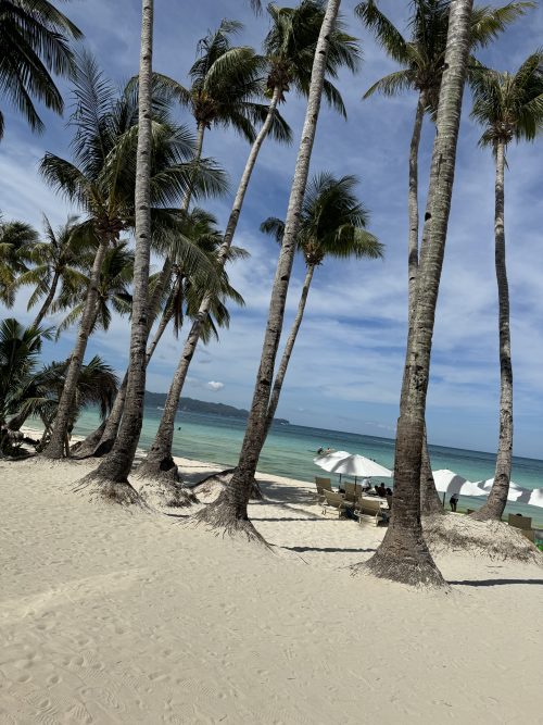 3日目の朝のビーチも快晴