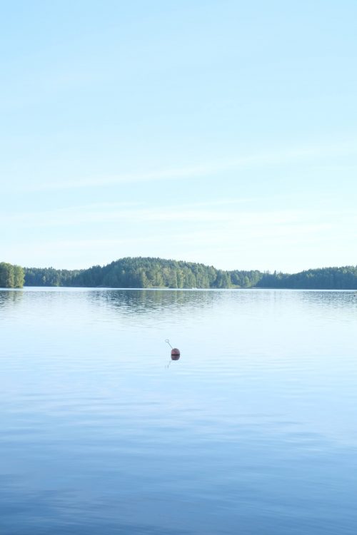 ログハウスからの景色