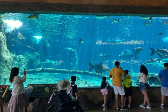 リバーワンダーズ