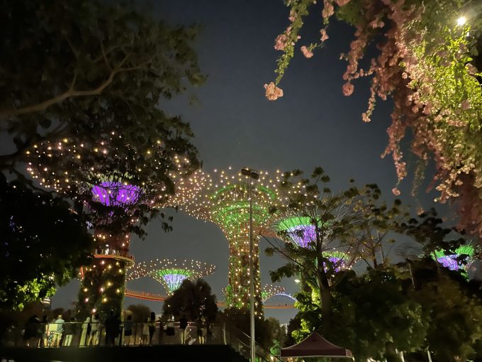 イルミネーションが彩るガーデンズバイザベイ