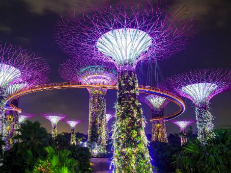 シンガポール：夜のスーパーツリーグローブ