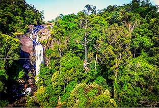 UMGAWA（ウンガワ）